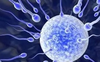 2026柬埔寨生殖机构试管婴儿技术革新：四种方法深度解析