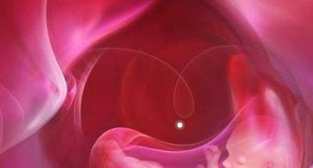 排卵试纸的正确使用方法