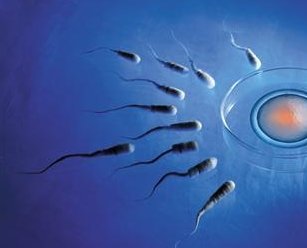 2026贵阳卵巢早衰助孕机构名单推荐