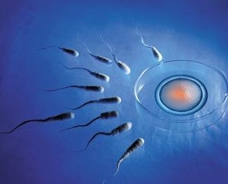 第三代试管对排除遗传病有用吗？女方基因有问题可以做试管吗？