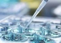 为什么选择马来西亚试管婴儿？3大原因看完便知