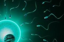 怀孕初期中药保胎利弊？胎儿发育异常还能保住么？