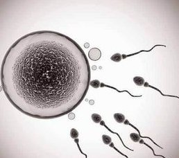 大同哪家医院能做试管婴儿？如何选择试管婴儿医院？