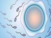 2026阿拉山口市最新男性陪产假有多少天？试管婴儿可以增加产假吗？