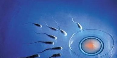 十堰人民医院三代试管婴儿比一二代贵多少？